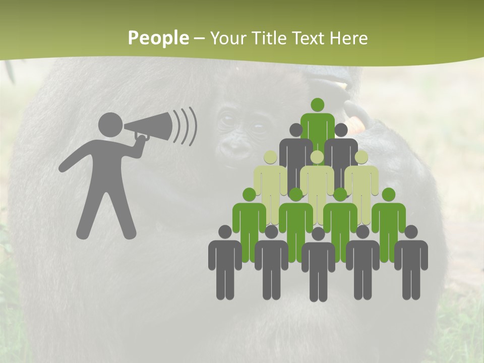 Back Cute Ape PowerPoint Template