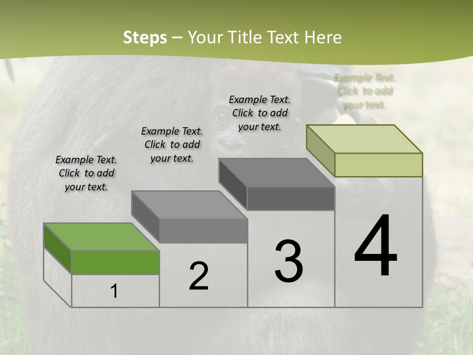 Back Cute Ape PowerPoint Template