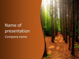 Bright Beautiful Forest PowerPoint Template