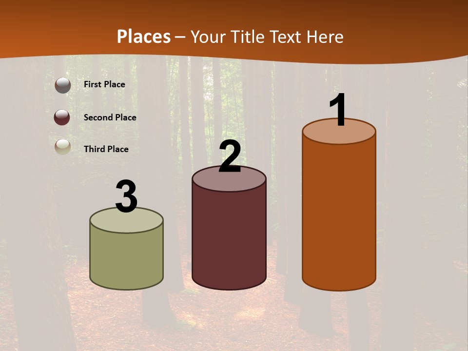 Bright Beautiful Forest PowerPoint Template