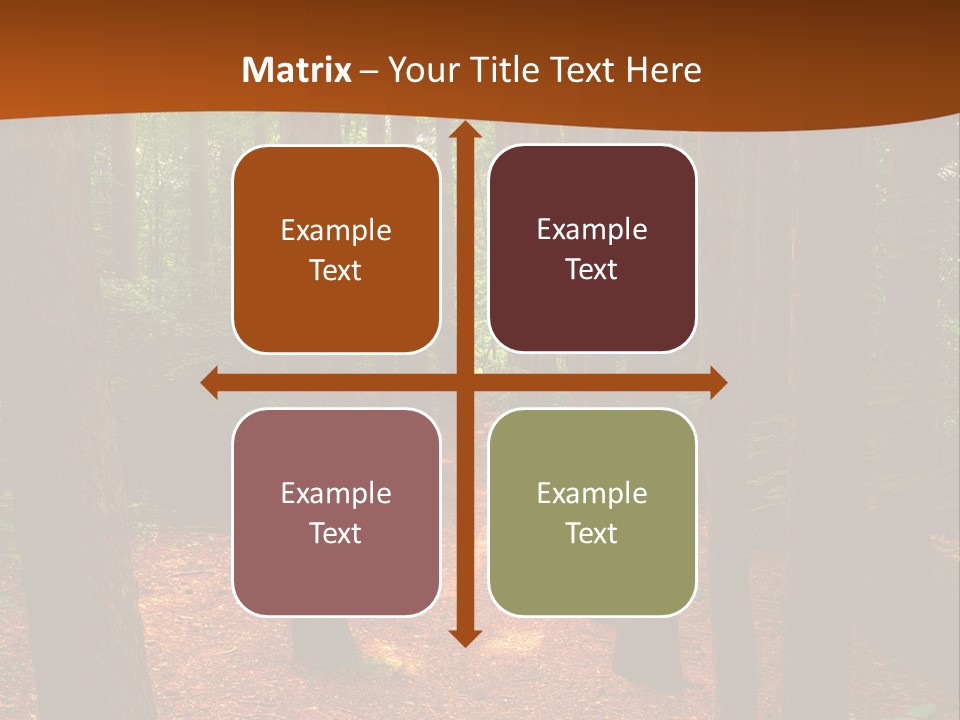 Bright Beautiful Forest PowerPoint Template