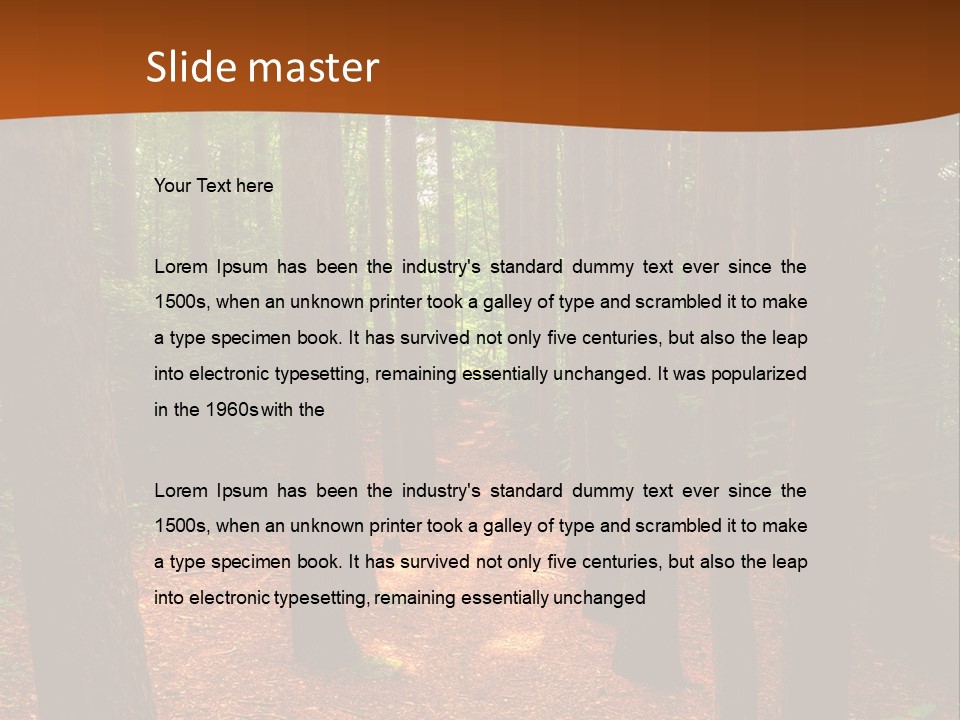 Bright Beautiful Forest PowerPoint Template