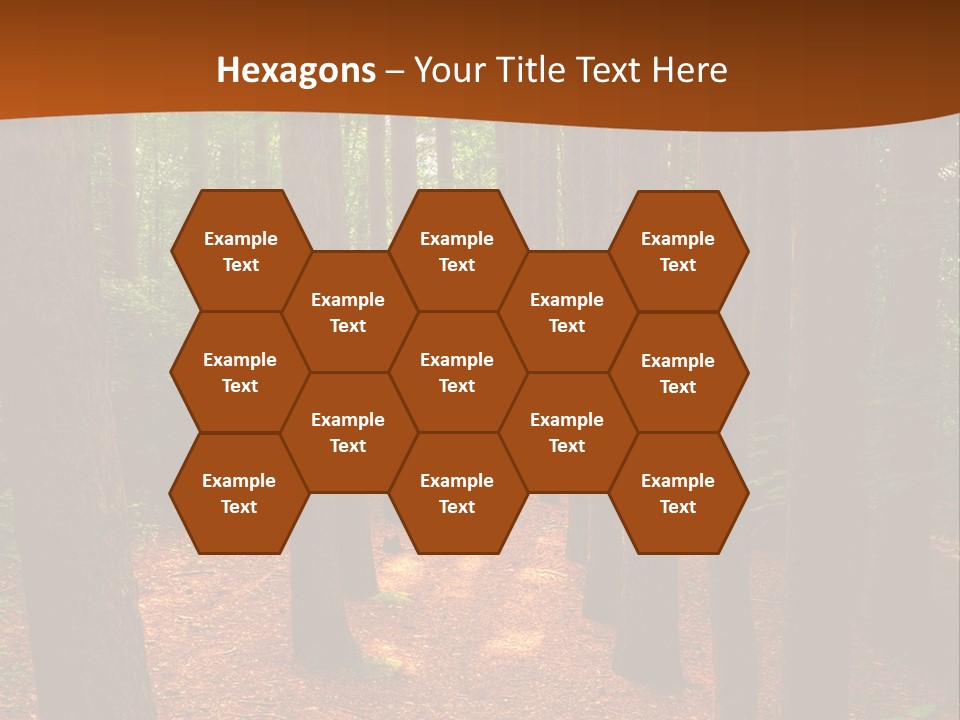 Bright Beautiful Forest PowerPoint Template