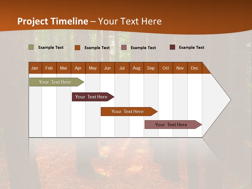 Bright Beautiful Forest PowerPoint Template