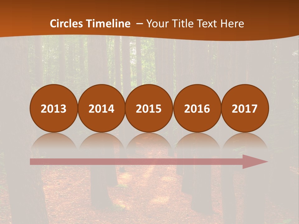 Bright Beautiful Forest PowerPoint Template