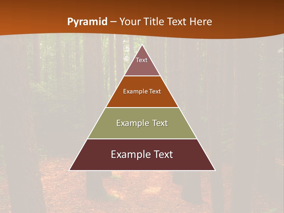 Bright Beautiful Forest PowerPoint Template