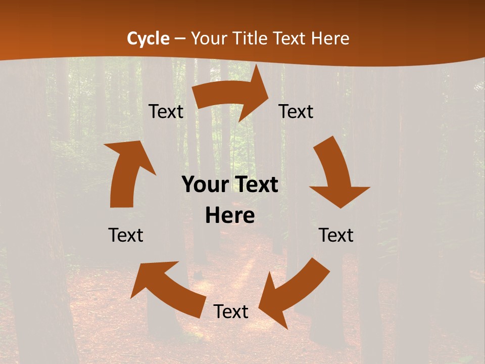 Bright Beautiful Forest PowerPoint Template