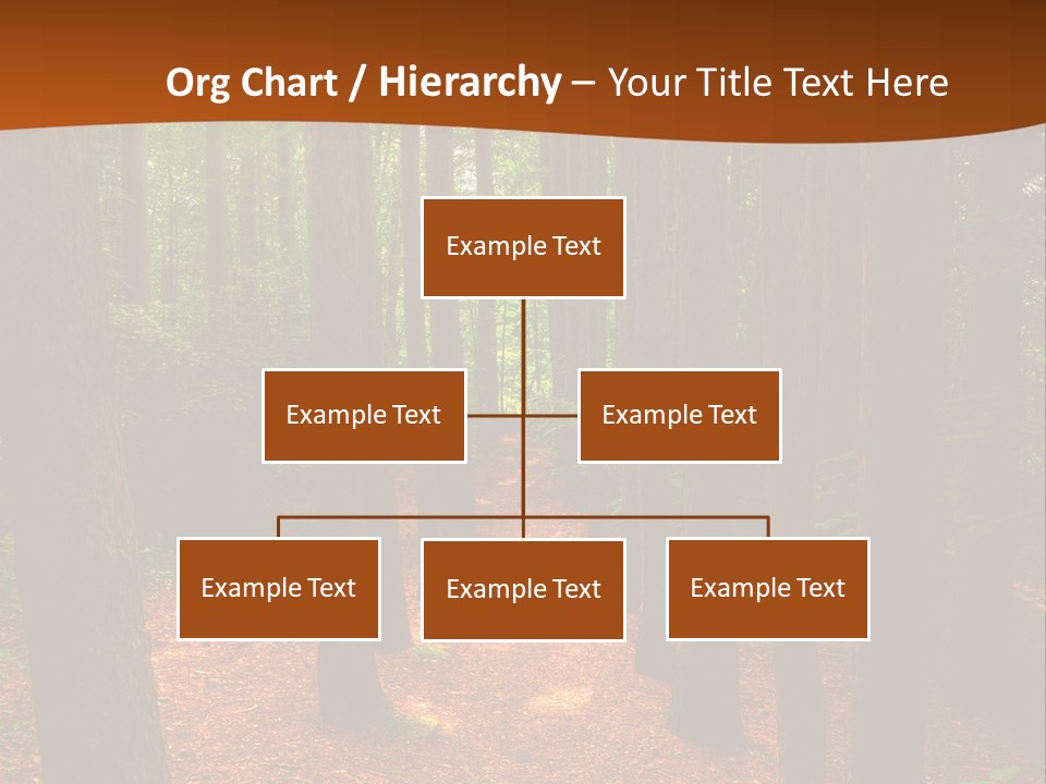 Bright Beautiful Forest PowerPoint Template