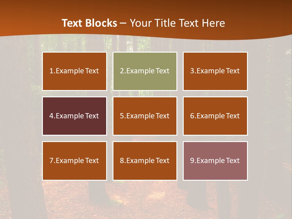 Bright Beautiful Forest PowerPoint Template