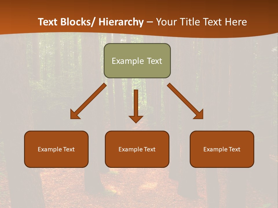 Bright Beautiful Forest PowerPoint Template