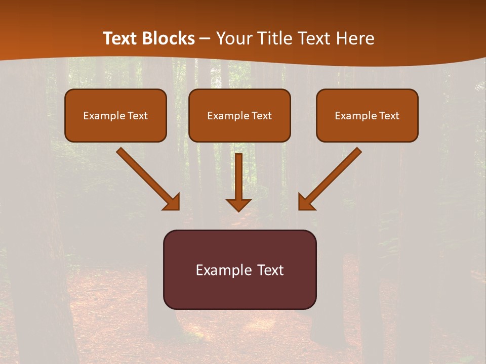 Bright Beautiful Forest PowerPoint Template