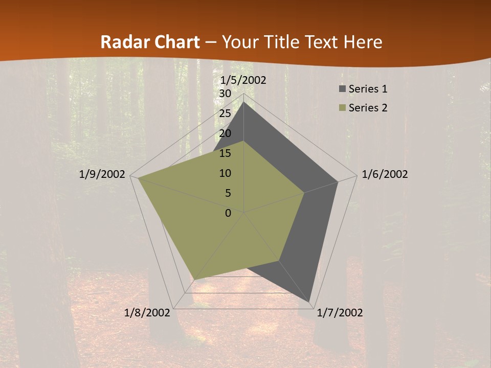 Bright Beautiful Forest PowerPoint Template