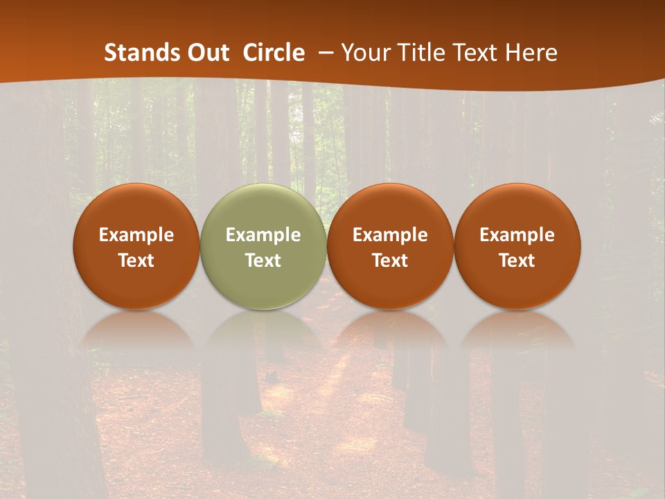Bright Beautiful Forest PowerPoint Template