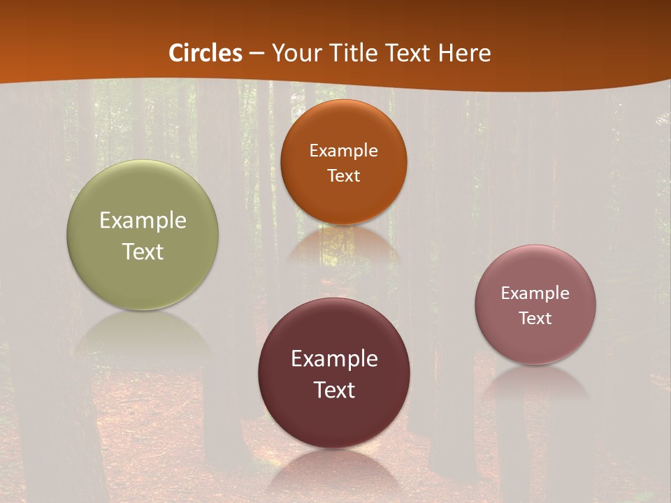 Bright Beautiful Forest PowerPoint Template