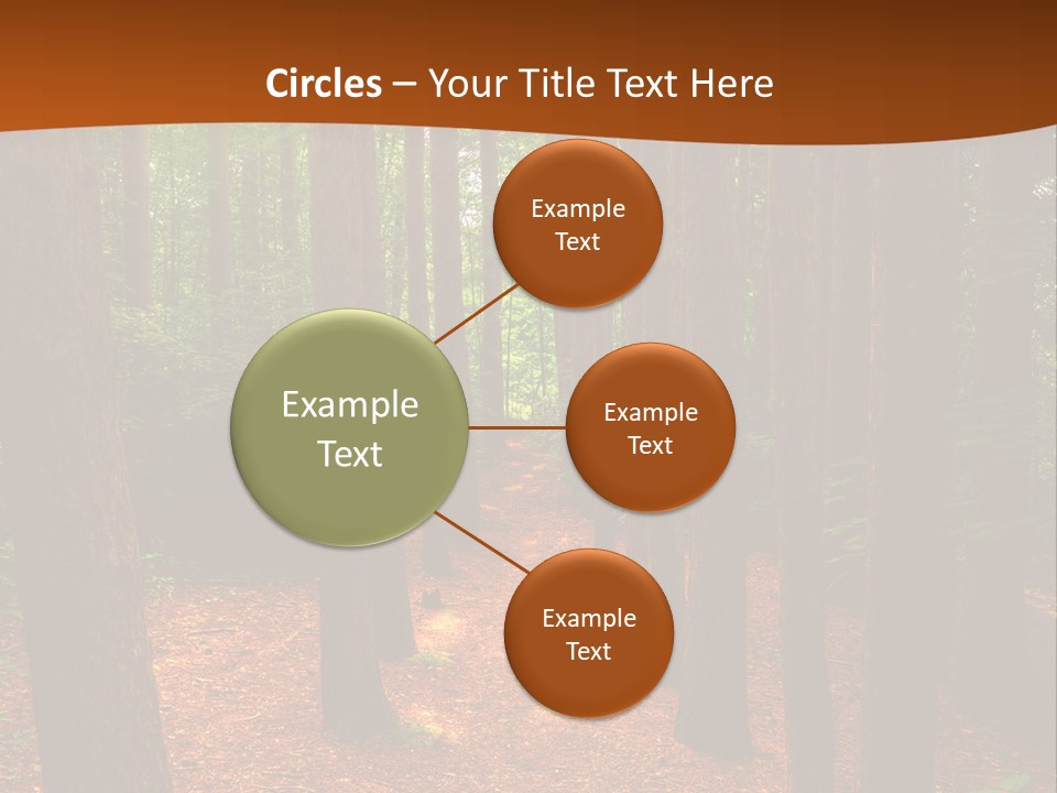 Bright Beautiful Forest PowerPoint Template