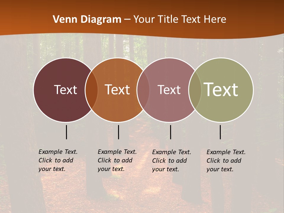 Bright Beautiful Forest PowerPoint Template