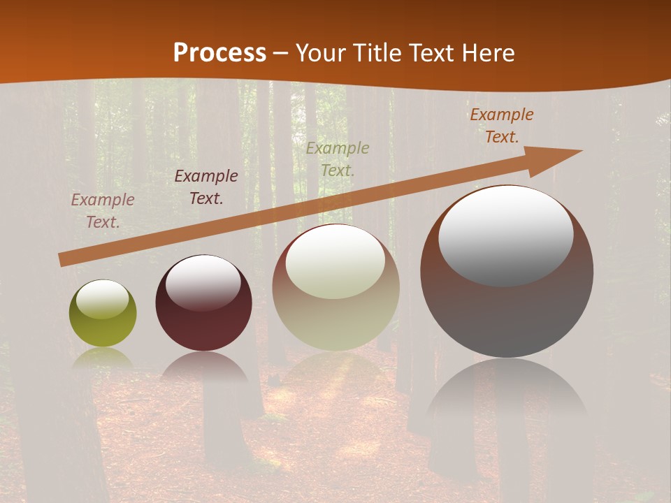 Bright Beautiful Forest PowerPoint Template