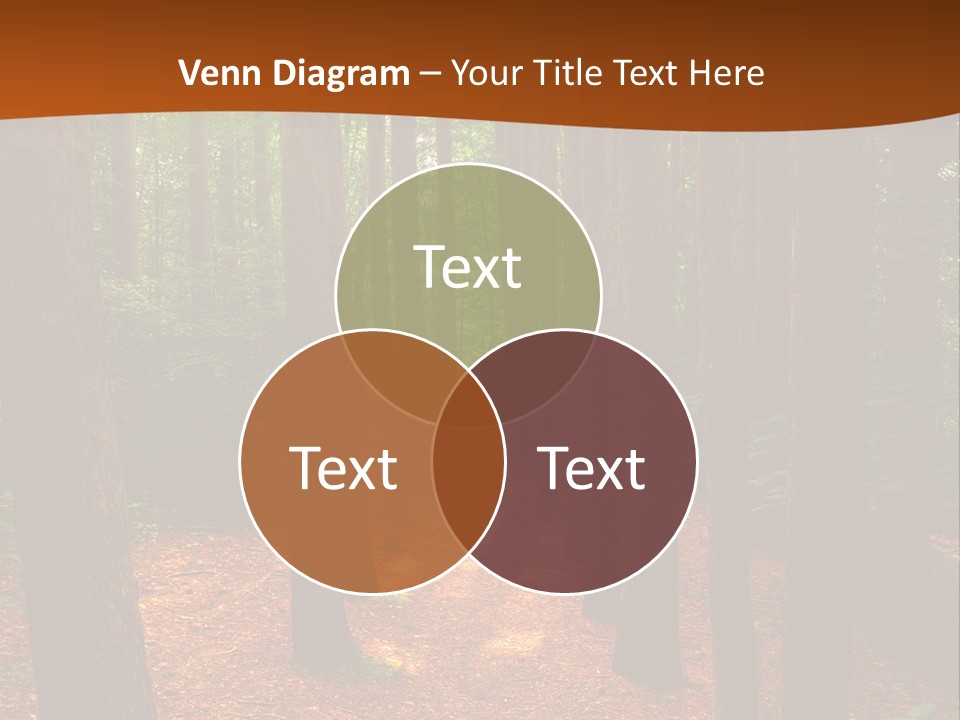 Bright Beautiful Forest PowerPoint Template