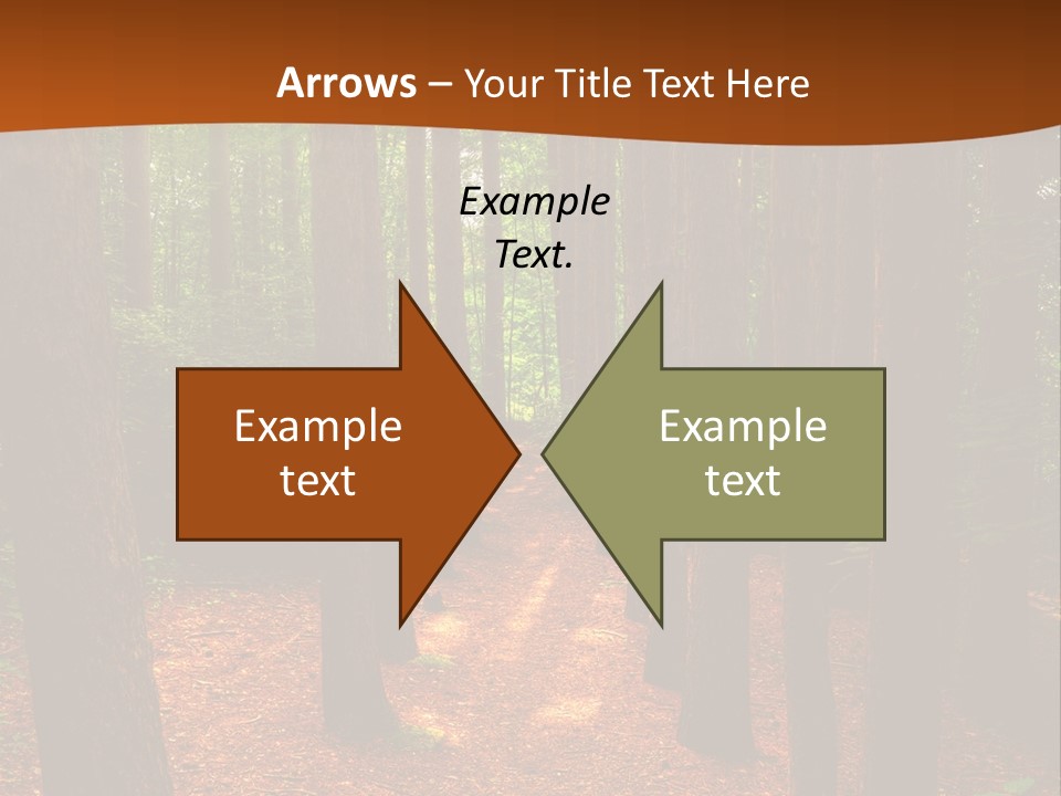 Bright Beautiful Forest PowerPoint Template