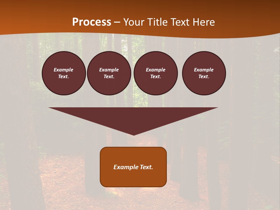 Bright Beautiful Forest PowerPoint Template