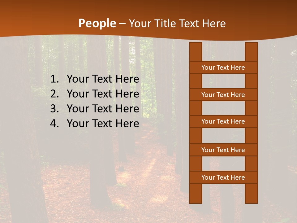 Bright Beautiful Forest PowerPoint Template