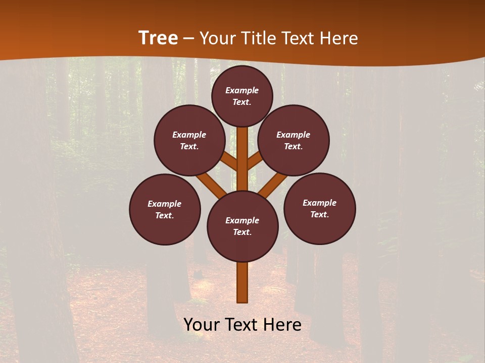 Bright Beautiful Forest PowerPoint Template