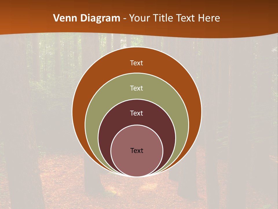 Bright Beautiful Forest PowerPoint Template