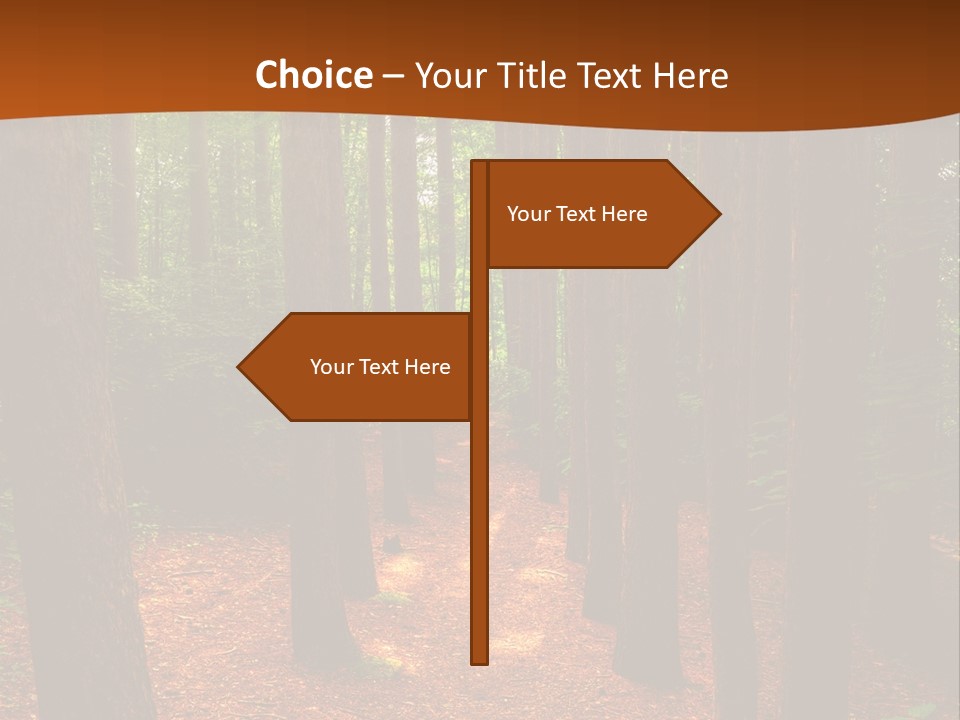 Bright Beautiful Forest PowerPoint Template