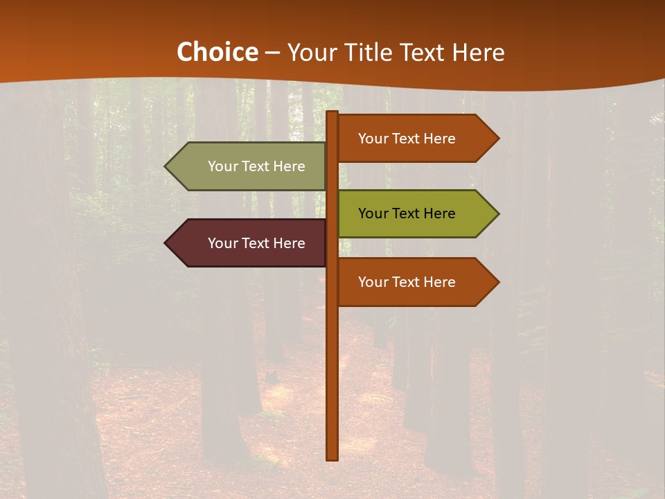 Bright Beautiful Forest PowerPoint Template