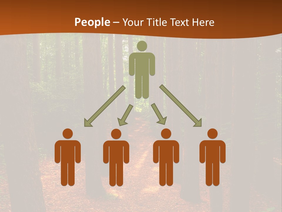 Bright Beautiful Forest PowerPoint Template