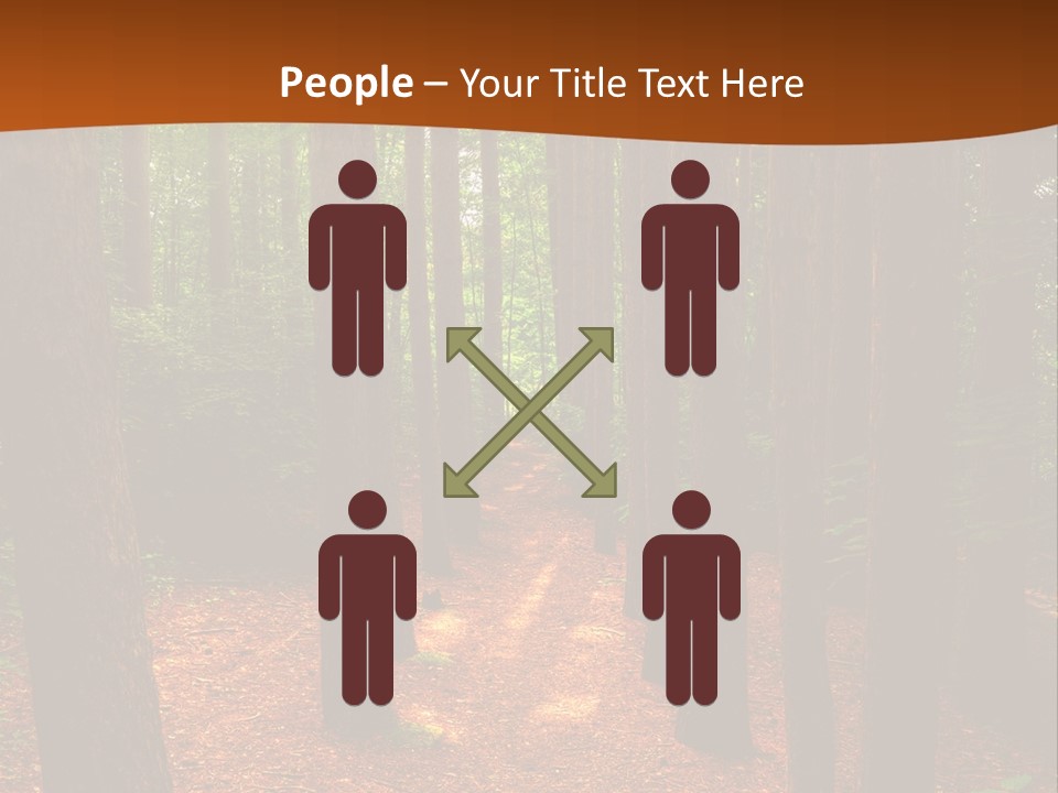 Bright Beautiful Forest PowerPoint Template