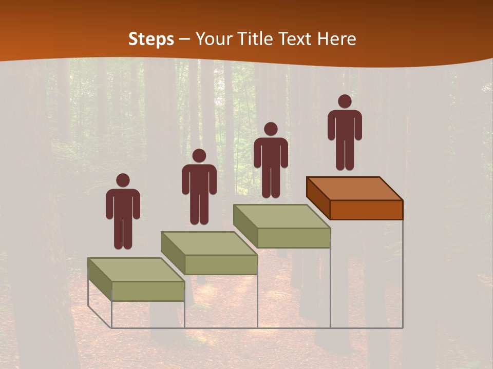 Bright Beautiful Forest PowerPoint Template