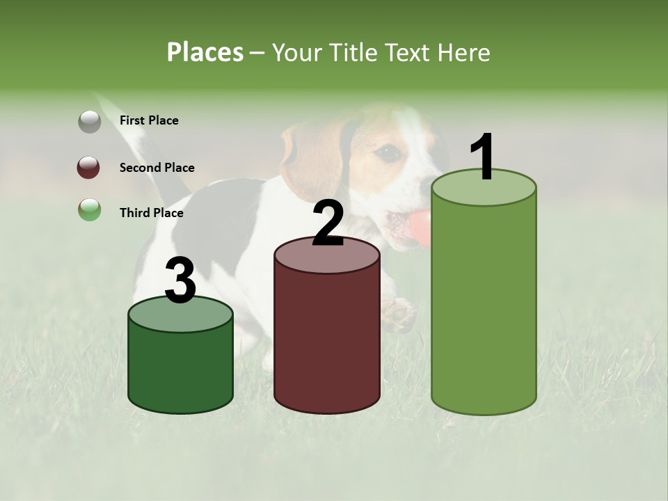 Retrieving Toy Outside PowerPoint Template