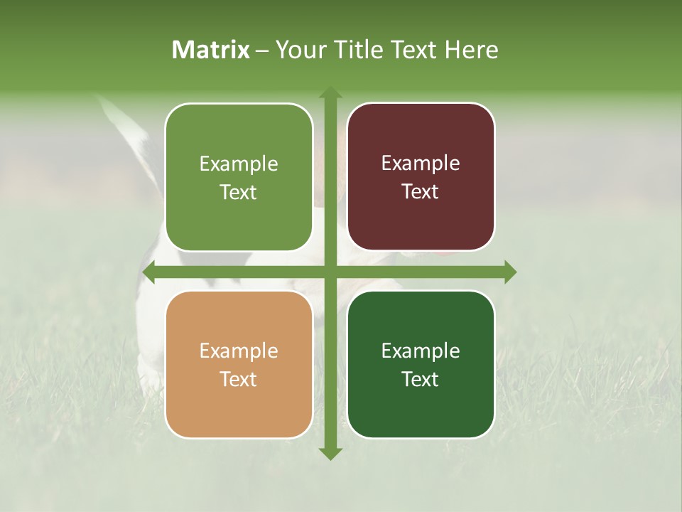 Retrieving Toy Outside PowerPoint Template