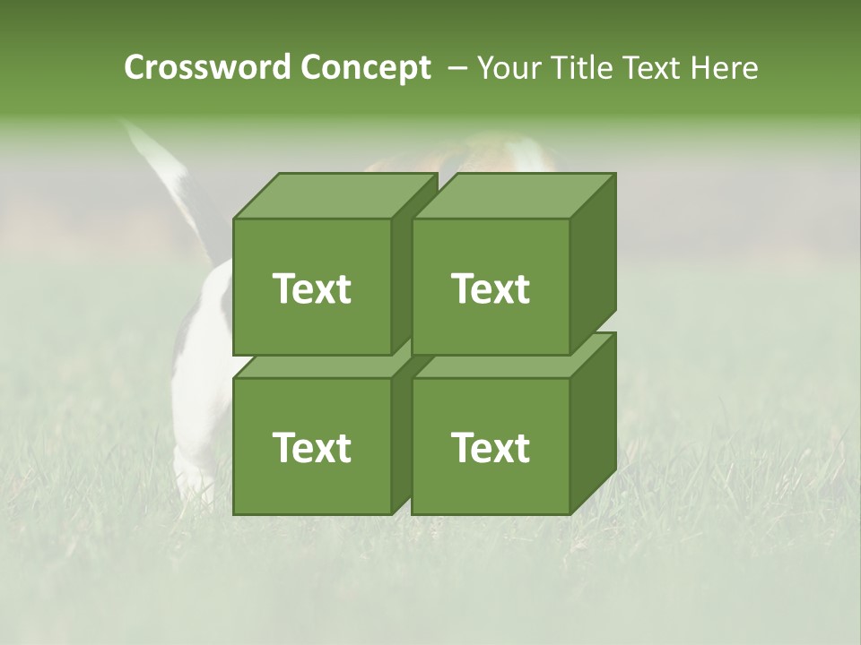 Retrieving Toy Outside PowerPoint Template