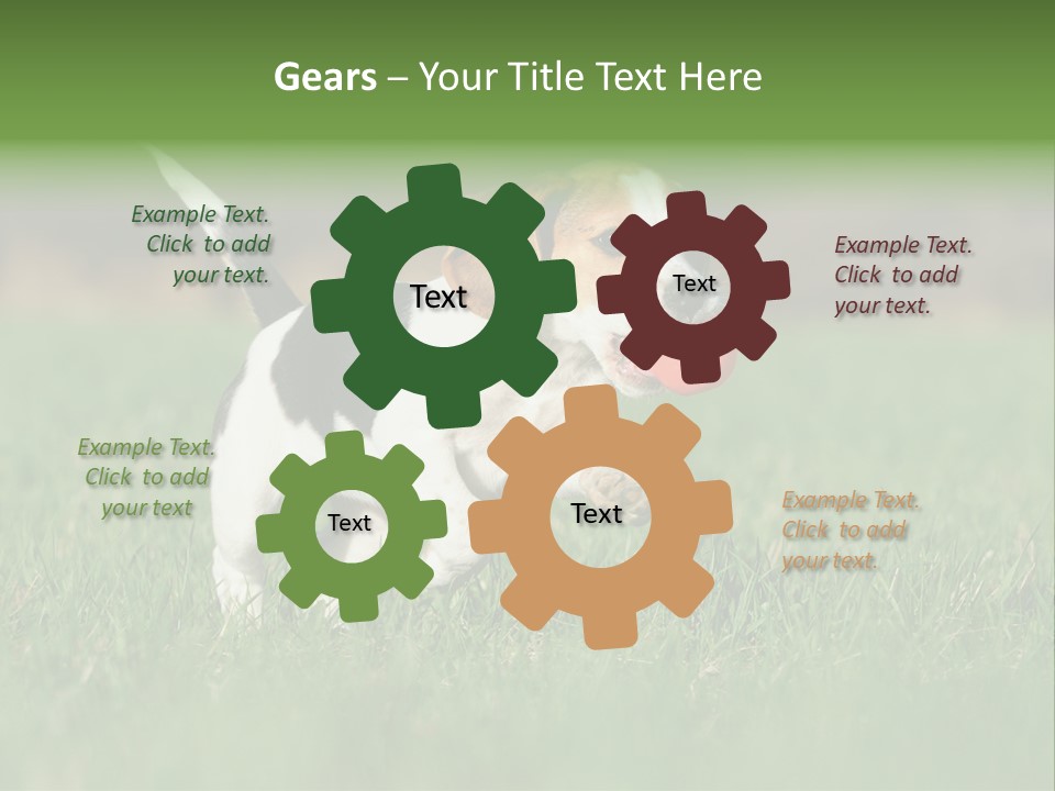 Retrieving Toy Outside PowerPoint Template