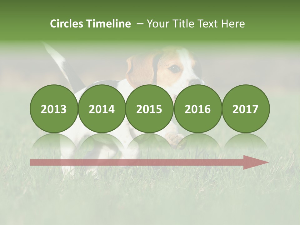 Retrieving Toy Outside PowerPoint Template