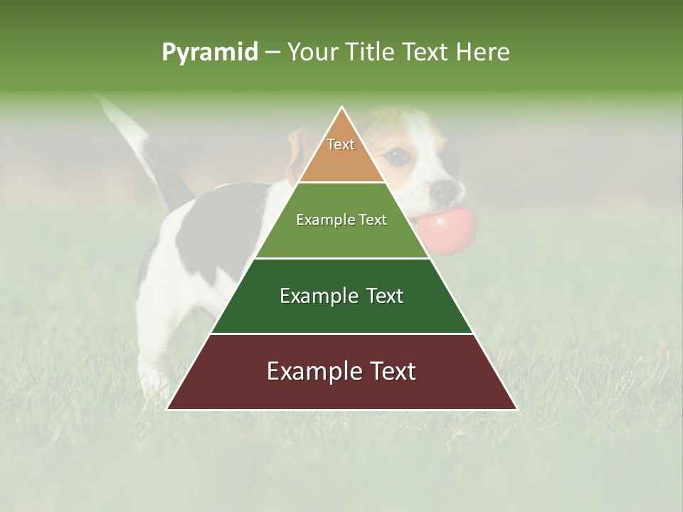 Retrieving Toy Outside PowerPoint Template