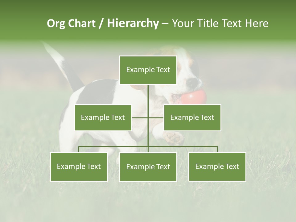 Retrieving Toy Outside PowerPoint Template