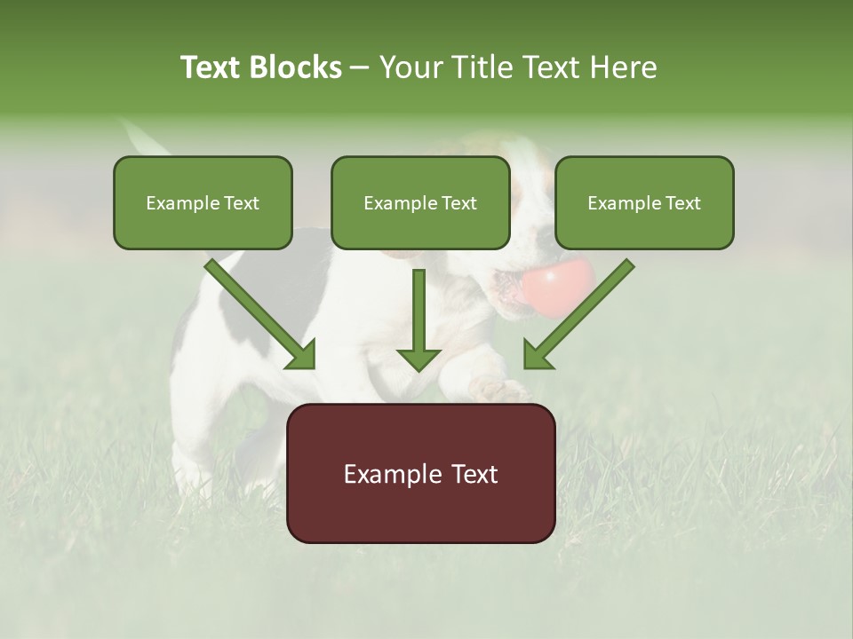 Retrieving Toy Outside PowerPoint Template