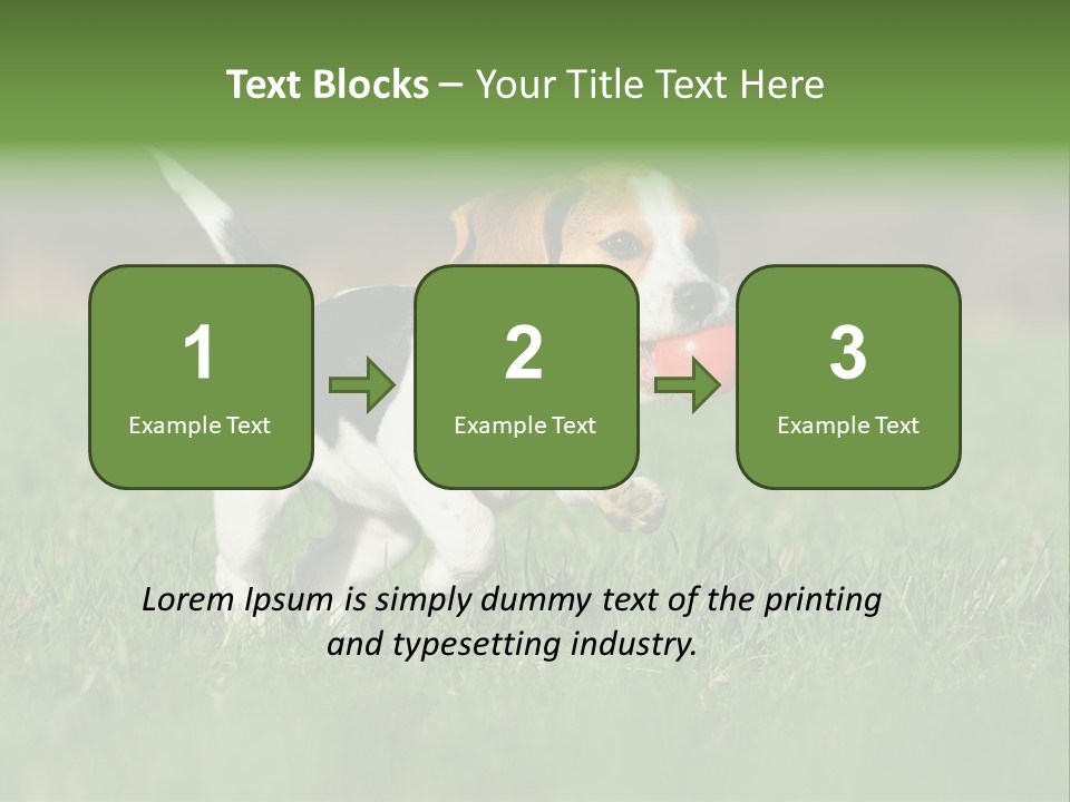 Retrieving Toy Outside PowerPoint Template