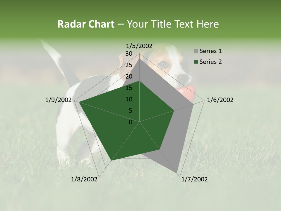 Retrieving Toy Outside PowerPoint Template