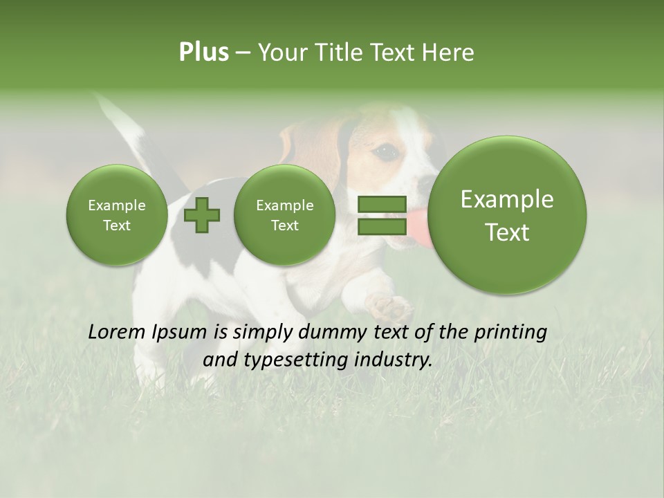 Retrieving Toy Outside PowerPoint Template