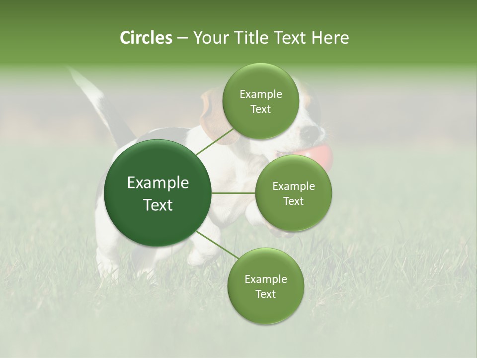 Retrieving Toy Outside PowerPoint Template