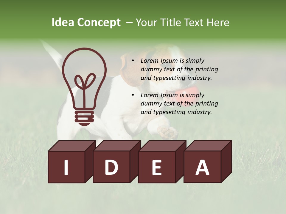 Retrieving Toy Outside PowerPoint Template