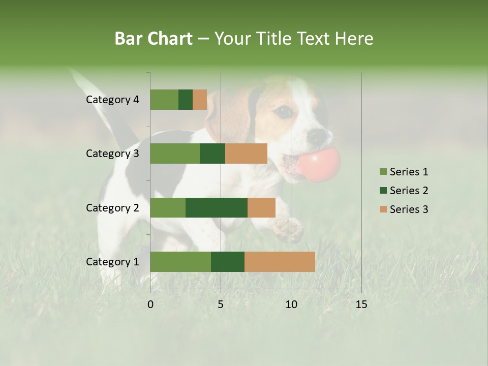 Retrieving Toy Outside PowerPoint Template