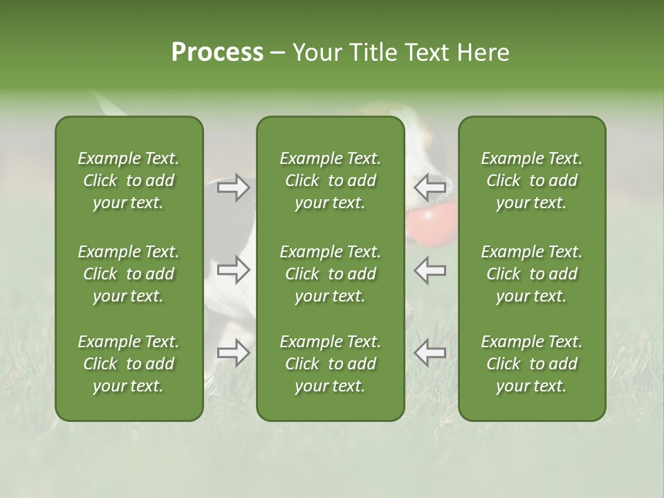 Retrieving Toy Outside PowerPoint Template