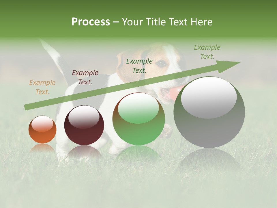 Retrieving Toy Outside PowerPoint Template