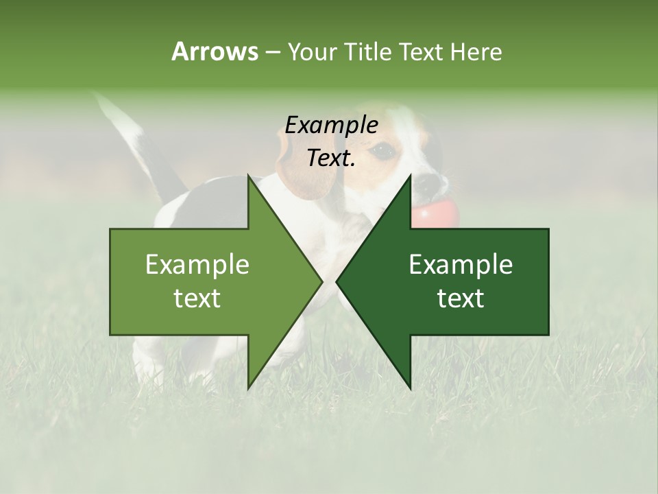 Retrieving Toy Outside PowerPoint Template