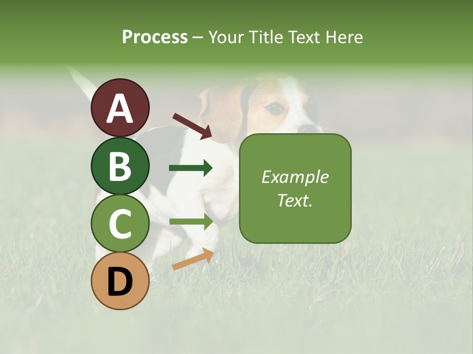 Retrieving Toy Outside PowerPoint Template